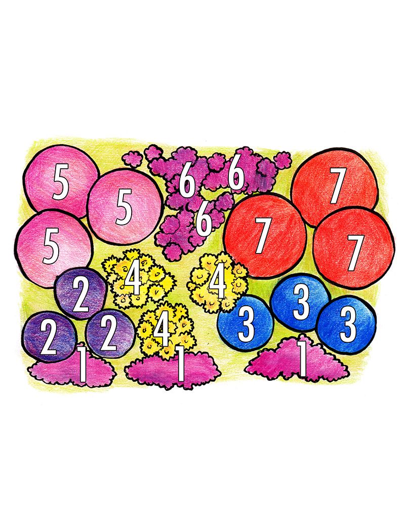 Kesäperhonen-perennapenkki 43 kpl