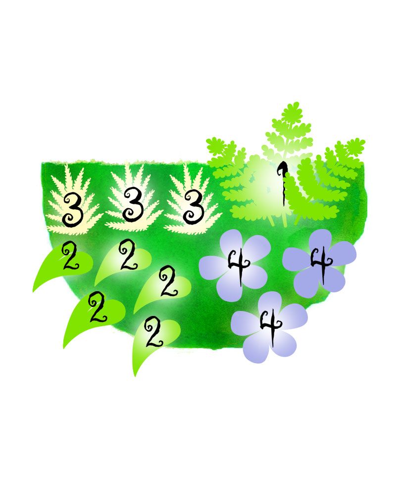 Kuutamolla 2 -perennapenkki 12 kpl