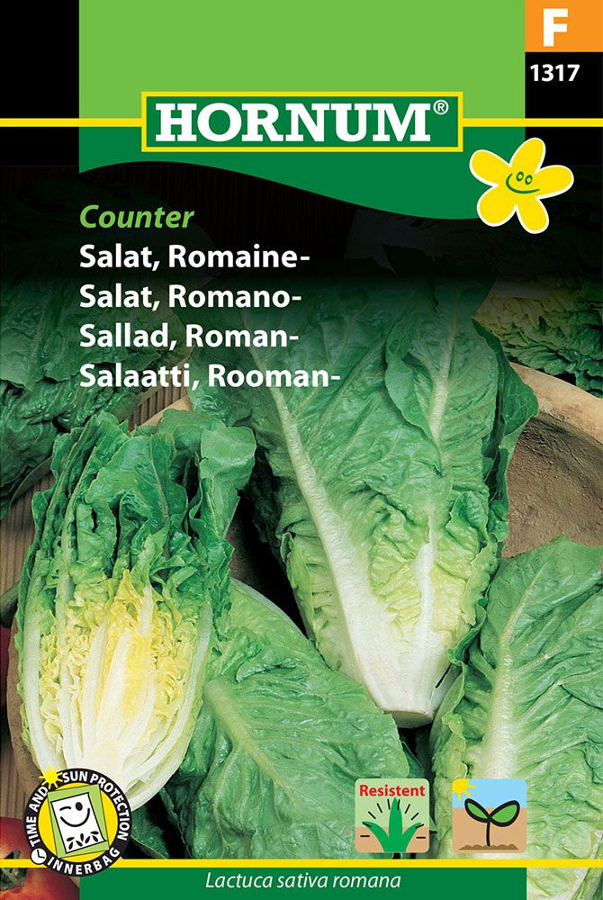 Roomansalaatti