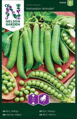 Silpoydinherne Kelvedon Wonder