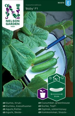 Kasvihuonekurkku Baby F1