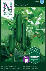 Kasvihuonekurkku Passandra F1