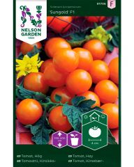 Kirsikkatomaatti Sungold F1
