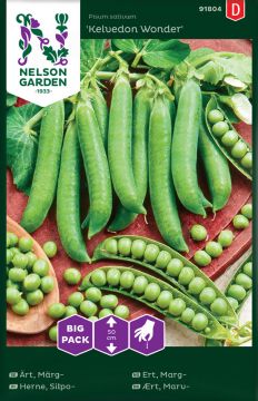 Silpoydinherne Kelvedon Wonder suurpussi