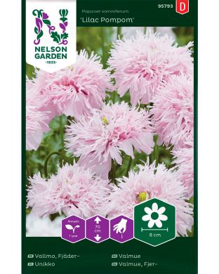 Pioniunikko Lilac Pompom