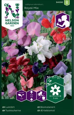 Tuoksuherne Royal mix