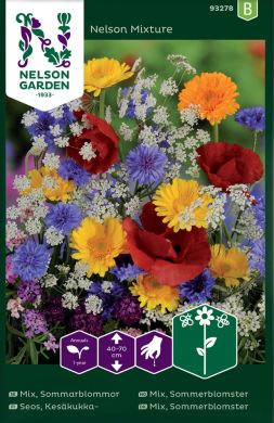Kesäkukkaseos Nelson Mixture