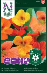 Isoköynnöskrassi mix suurpussi