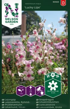 Leijonankita Lucky Lips