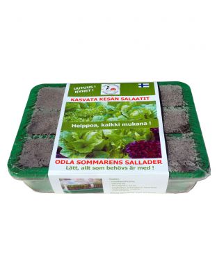 Seedbox Salaatit