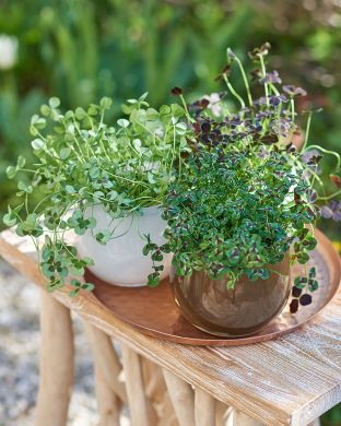 Koristeapila-lajitelma 3 kpl