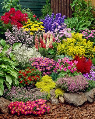 Villien Viikkojen Juurakkoperenna mix 20 kpl