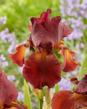 Tarhakurjenmiekka Fort Apache 3 kpl