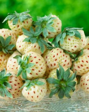 Ananas-vadelmamansikka mix 6 kpl