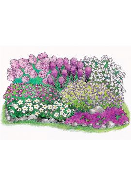 Purppurailta 3 -perennapenkki 23 kpl