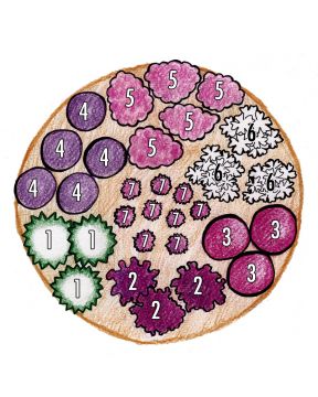 Purppurailta 3 -perennapenkki 23 kpl