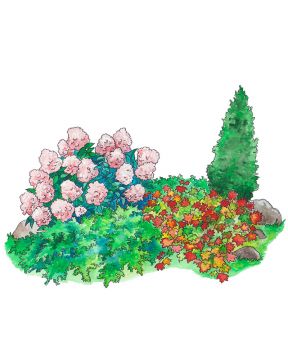 Havu-pensaspenkki 5 kpl