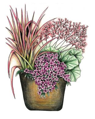 Liekehtivä perenna-asetelma 3 kpl