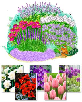 Purppurapörriäinen-perennapenkki syyssipuleilla 83 kpl