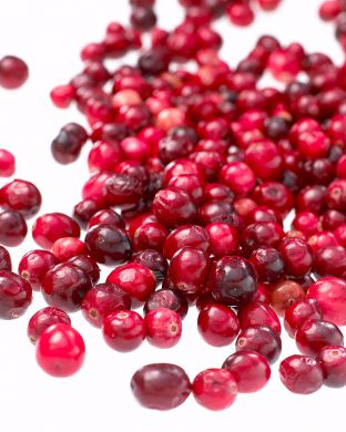 Amerikankarpalo Pilgrim 3 kpl