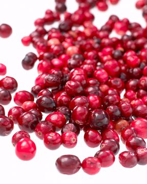 Amerikankarpalo Pilgrim 3 kpl