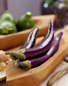 Japanilainen munakoiso Molongio 3 kpl