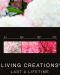 Japaninhortensia Living Pink & Rose