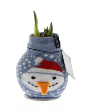 Vaha-amaryllis Lumiukkoneule