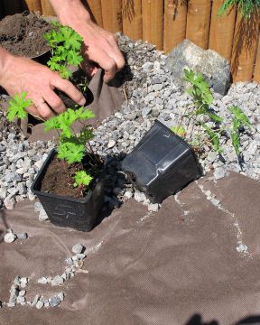 Maisemointikangas 8 m²