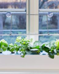 Kasvivalaisimen ripustin, imukupit