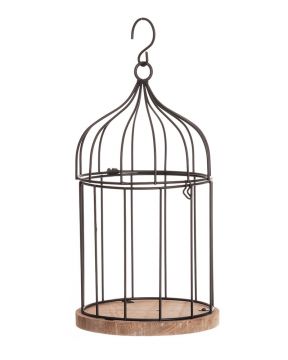 Koristelintuhäkki keskikoko