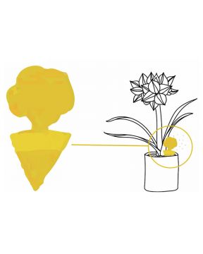 Solabiol Hyönteisansa ruukkukasveille 10 kpl