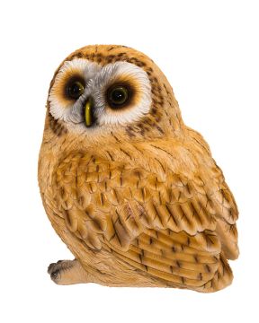 Pöllö vaaleanruskea