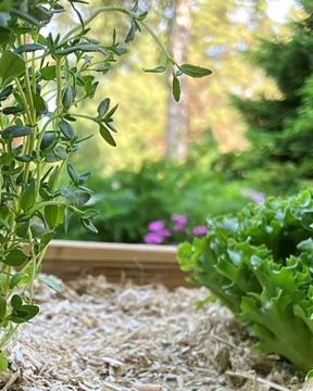 GreenCare Hamppukate mansikka- ja kasvimaalle 40 l