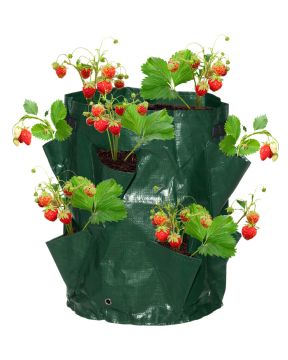 Mansikoiden kasvatuspussi