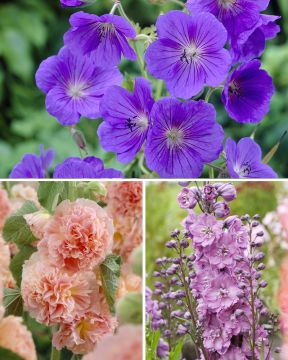 Cottage garden -perennalajitelma 11 kpl