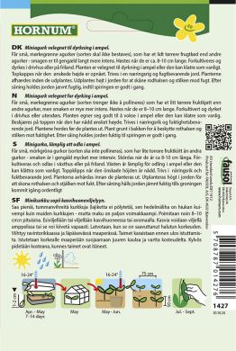 Amppelikurkku Hopeline F1