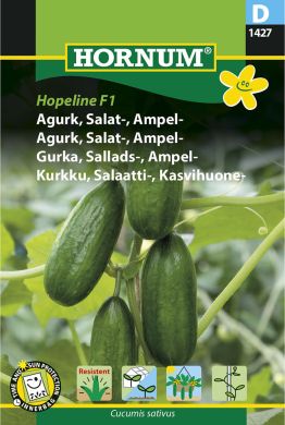 Amppelikurkku Hopeline F1