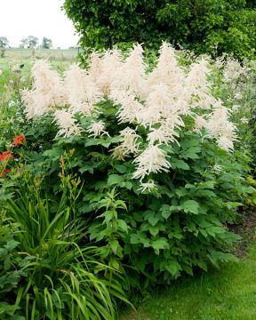 Isotöyhtöangervo 3 kpl