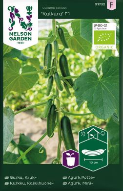 Kasvihuonekurkku Kaikura F1 luomu