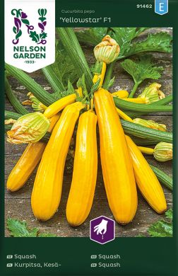 Kesäkurpitsa Yellowstar F1