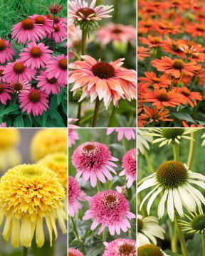 Kukkahattu mix 6 kpl