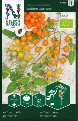 Marjatomaatti Golden Currant luomu