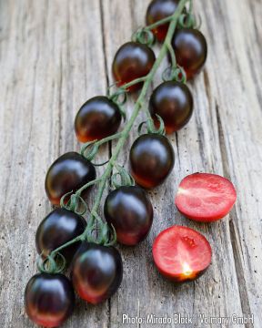 Miniluumutomaatti mix 3 kpl