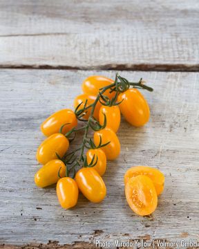 Miniluumutomaatti Mirado Yellow 3 kpl