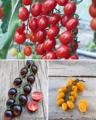 Miniluumutomaatti mix 3 kpl