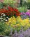 Perenna mix 12 kpl