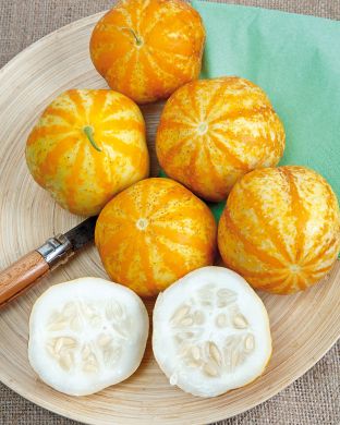 Sitruunakurkku Lemon Apple 3