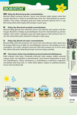 Isotsinnia Dream Lavender